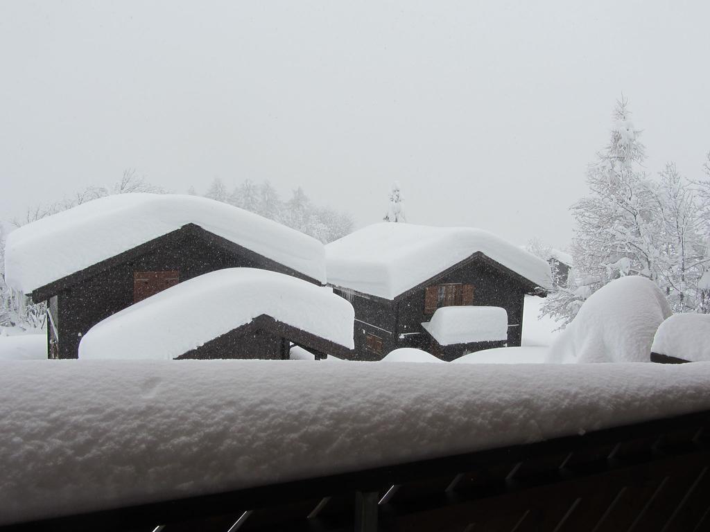 Superb Apartment With Views Of The Alps Bellwald Esterno foto
